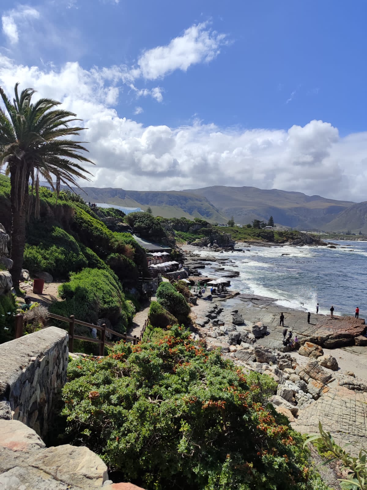 Hermanus tour (19)
