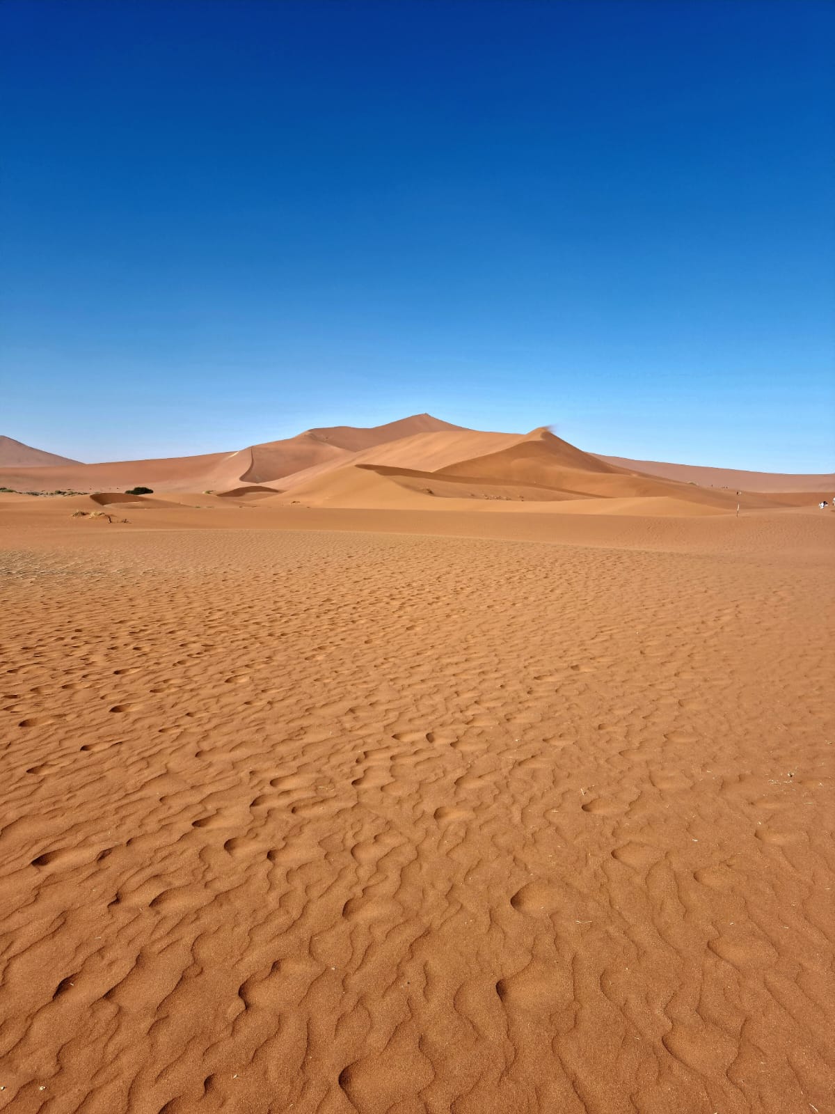 Namibia tour (92)